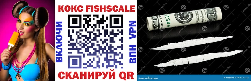 КОКАИН Fish Scale  дарнет шоп  Ногинск 