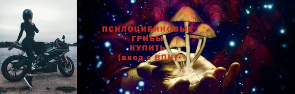 твердый Армянск