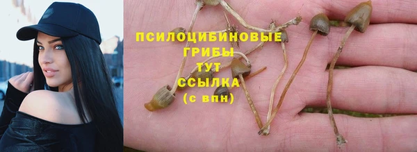 прущие крисы Надым