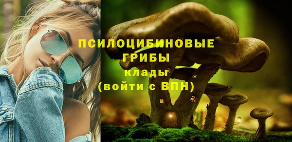 PSILOCYBIN Балабаново