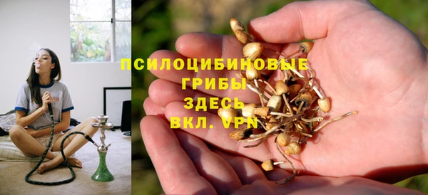 PSILOCYBIN Балабаново