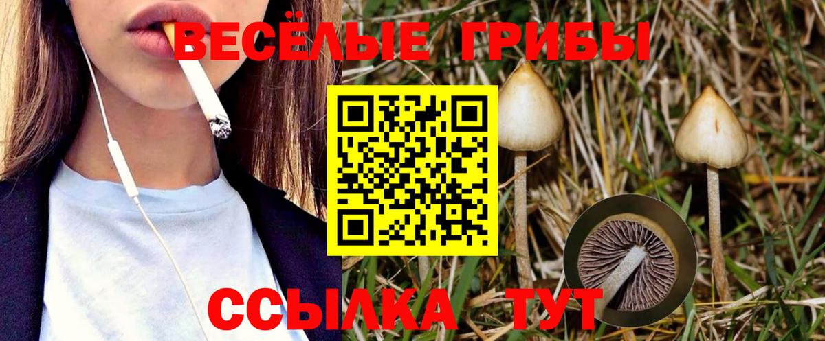 Галлюциногенные грибы ЛСД Ногинск