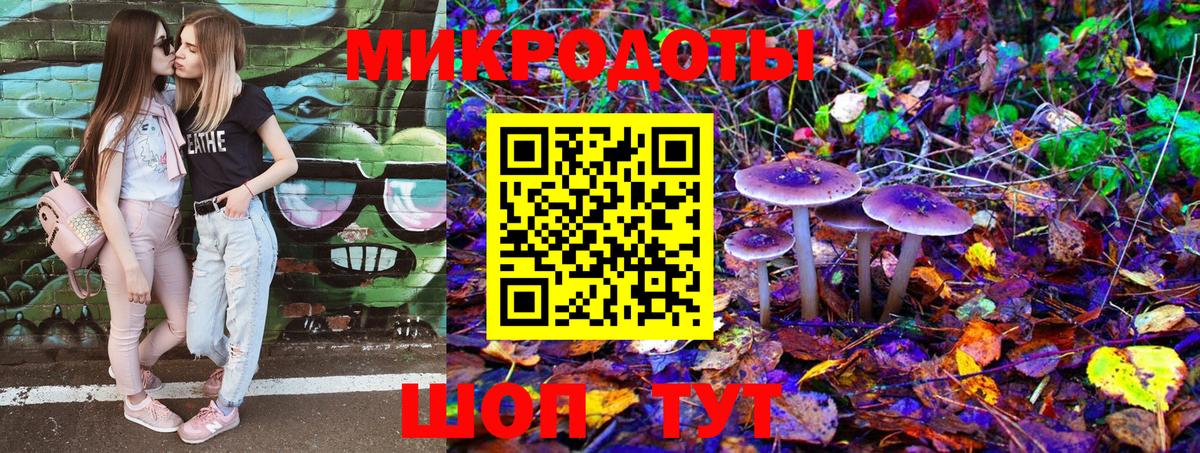 Псилоцибиновые грибы GOLDEN TEACHER  Галлюциногенные грибы Psilocybe  Ногинск  Вход с VPN 